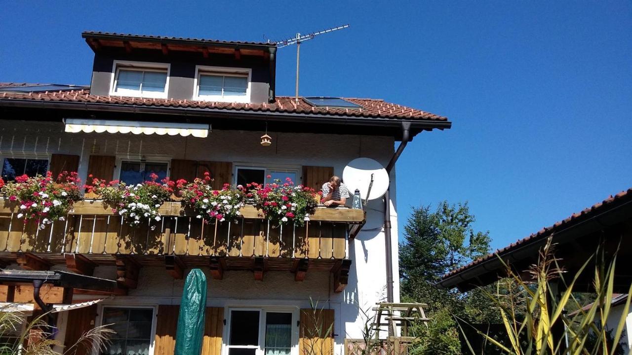 شقة Haus Edelsbergblick نيسيلفانج المظهر الخارجي الصورة